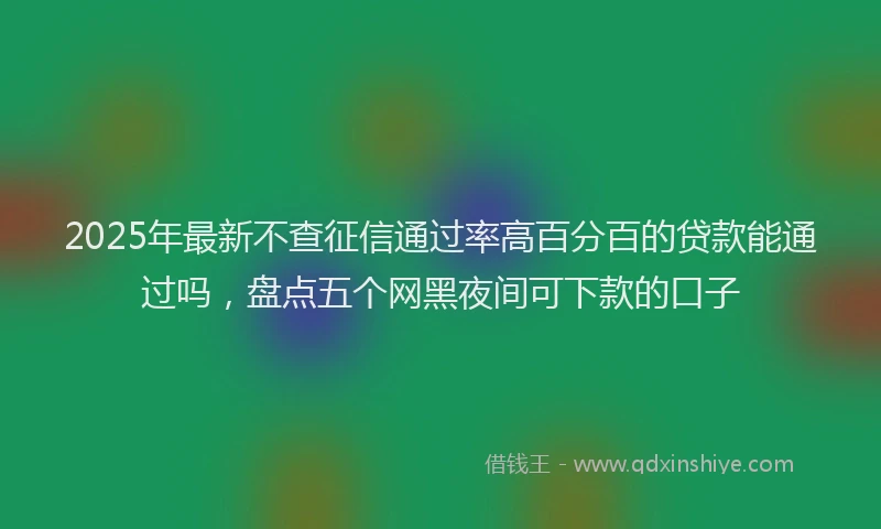 2025年最新不查征信通过率高百分百的贷款能通过吗，盘点五个网黑夜间可下款的口子