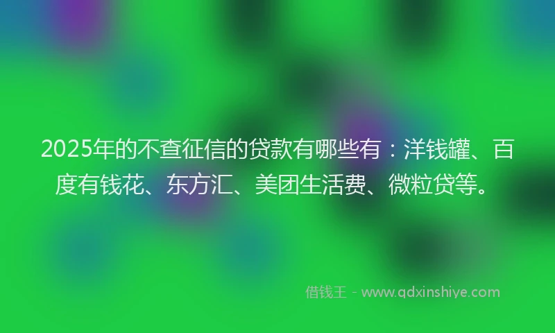 2025年的不查征信的贷款有哪些有：洋钱罐、百度有钱花、东方汇、美团生活费、微粒贷等。