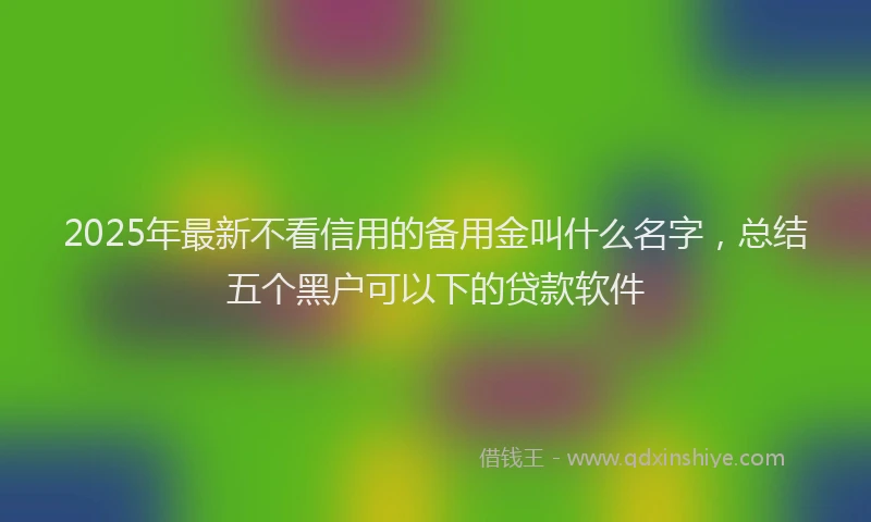 2025年最新不看信用的备用金叫什么名字，总结五个黑户可以下的贷款软件