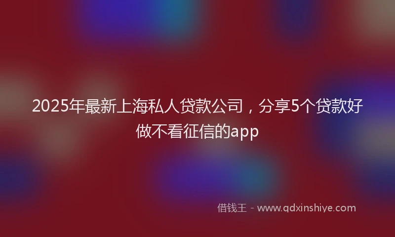 2025年最新上海私人贷款公司，分享5个贷款好做不看征信的app