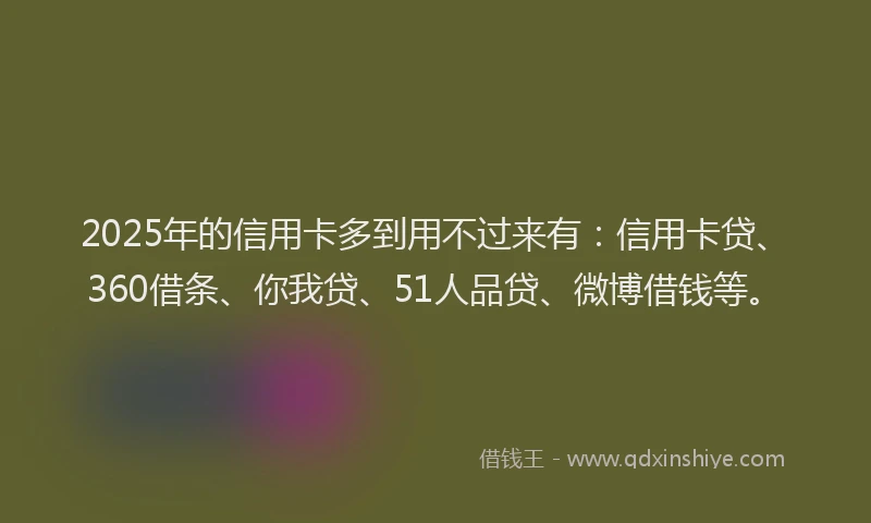 2025年的信用卡多到用不过来有：信用卡贷、360借条、你我贷、51人品贷、微博借钱等。