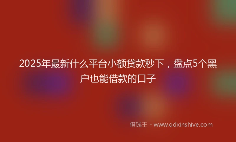 2025年最新什么平台小额贷款秒下，盘点5个黑户也能借款的口子