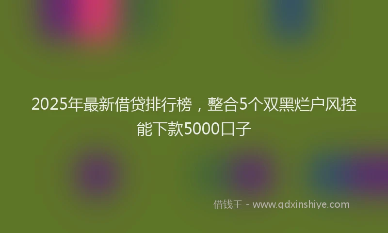 2025年最新借贷排行榜，整合5个双黑烂户风控能下款5000口子