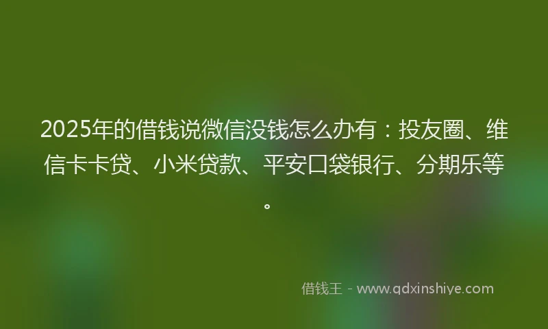 2025年的借钱说微信没钱怎么办有：投友圈、维信卡卡贷、小米贷款、平安口袋银行、分期乐等。