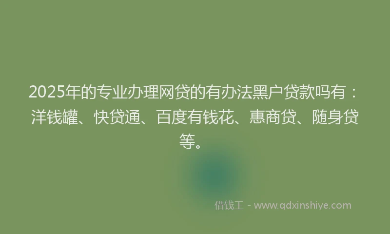 2025年的专业办理网贷的有办法黑户贷款吗有：洋钱罐、快贷通、百度有钱花、惠商贷、随身贷等。