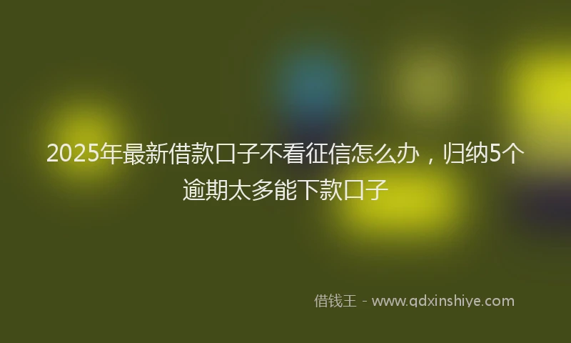 2025年最新借款口子不看征信怎么办，归纳5个逾期太多能下款口子