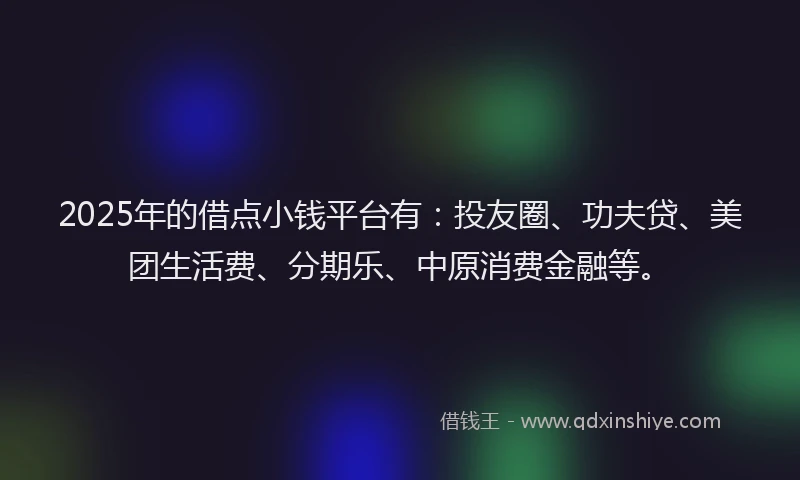 2025年的借点小钱平台有：投友圈、功夫贷、美团生活费、分期乐、中原消费金融等。