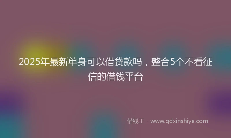 2025年最新单身可以借贷款吗，整合5个不看征信的借钱平台