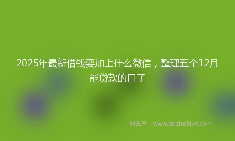 2025年最新借钱要加上什么微信，整理五个12月能贷款的口子