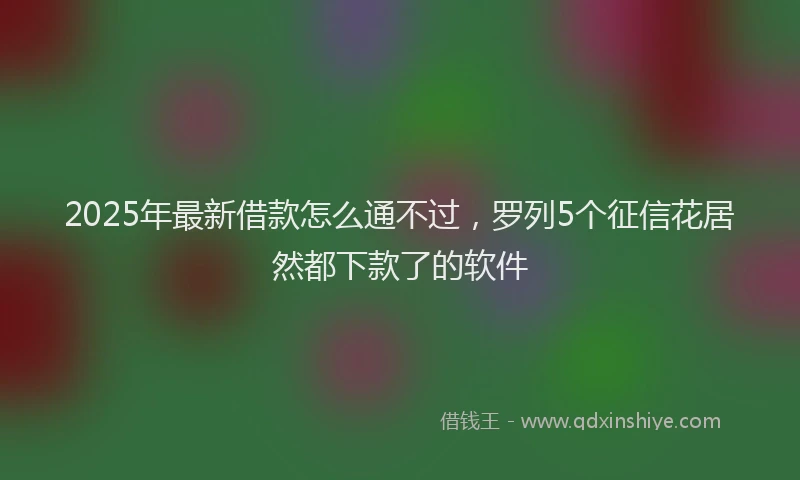 2025年最新借款怎么通不过，罗列5个征信花居然都下款了的软件