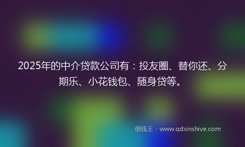 2025年的中介贷款公司有：投友圈、替你还、分期乐、小花钱包、随身贷等。