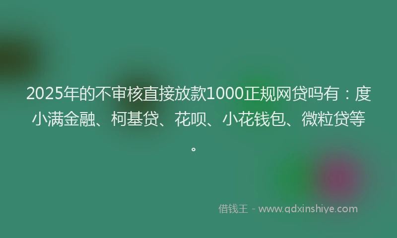 2025年的不审核直接放款1000正规网贷吗有：度小满金融、柯基贷、花呗、小花钱包、微粒贷等。