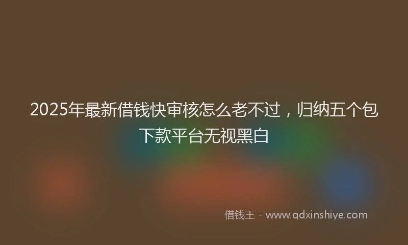 2025年最新借钱快审核怎么老不过，归纳五个包下款平台无视黑白