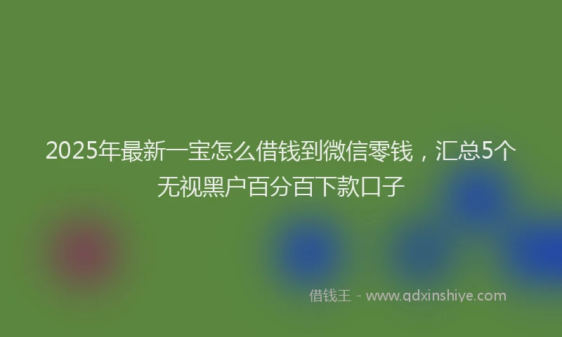 2025年最新一宝怎么借钱到微信零钱，汇总5个无视黑户百分百下款口子