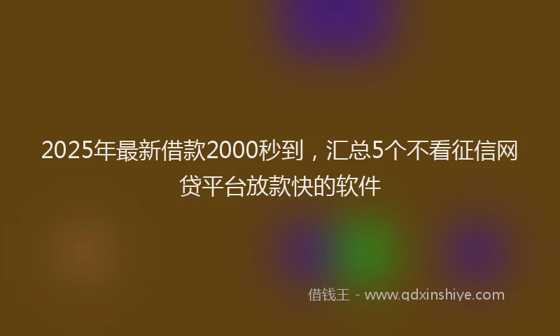 2025年最新借款2000秒到，汇总5个不看征信网贷平台放款快的软件