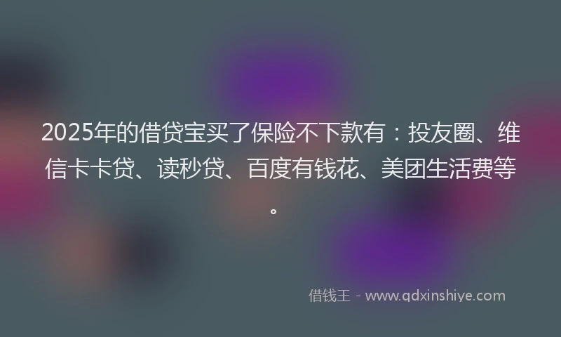 2025年的借贷宝买了保险不下款有：投友圈、维信卡卡贷、读秒贷、百度有钱花、美团生活费等。