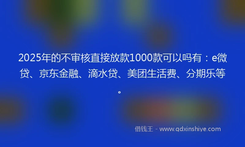 2025年的不审核直接放款1000款可以吗有：e微贷、京东金融、滴水贷、美团生活费、分期乐等。