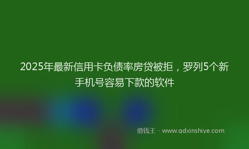 2025年最新信用卡负债率房贷被拒，罗列5个新手机号容易下款的软件