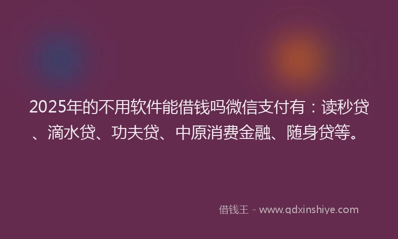 2025年的不用软件能借钱吗微信支付有：读秒贷、滴水贷、功夫贷、中原消费金融、随身贷等。