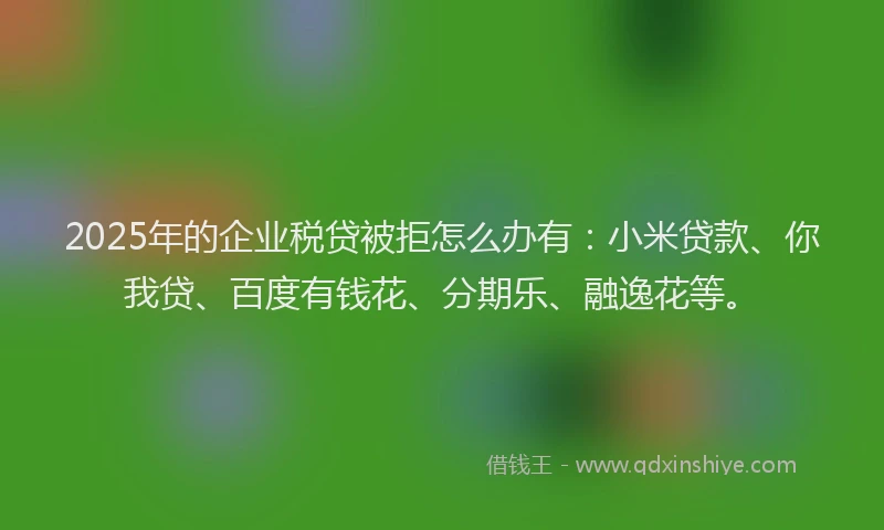 2025年的企业税贷被拒怎么办有：小米贷款、你我贷、百度有钱花、分期乐、融逸花等。