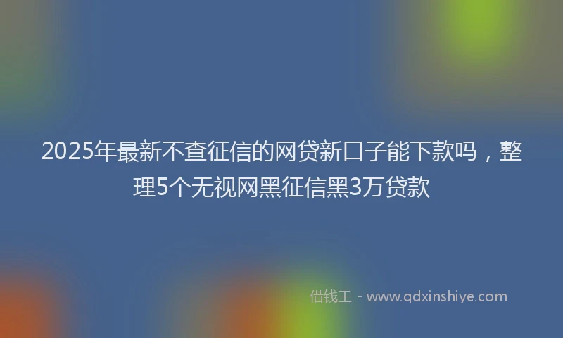 2025年最新不查征信的网贷新口子能下款吗，整理5个无视网黑征信黑3万贷款