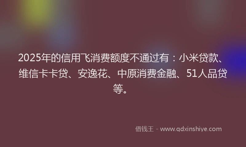 2025年的信用飞消费额度不通过有：小米贷款、维信卡卡贷、安逸花、中原消费金融、51人品贷等。