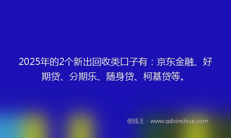 2025年的2个新出回收类口子有：京东金融、好期贷、分期乐、随身贷、柯基贷等。