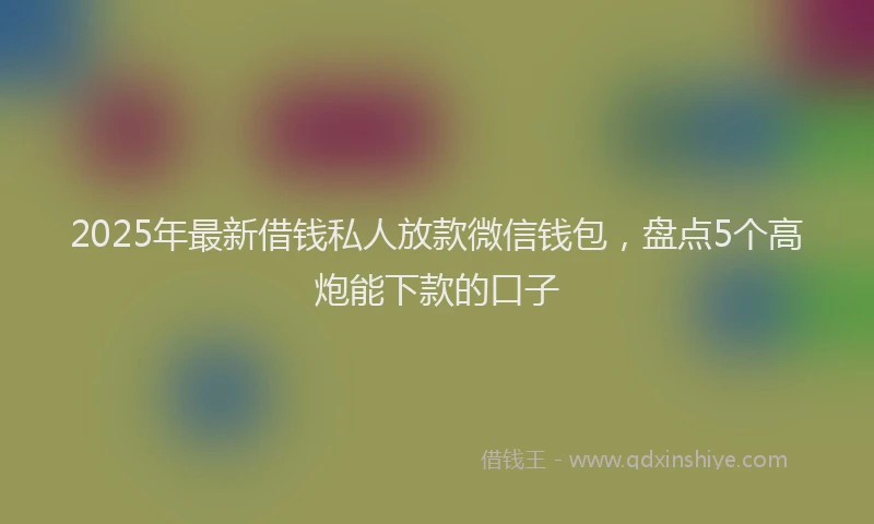 2025年最新借钱私人放款微信钱包，盘点5个高炮能下款的口子