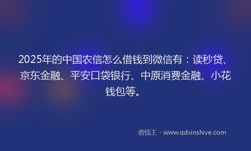 2025年的中国农信怎么借钱到微信有：读秒贷、京东金融、平安口袋银行、中原消费金融、小花钱包等。