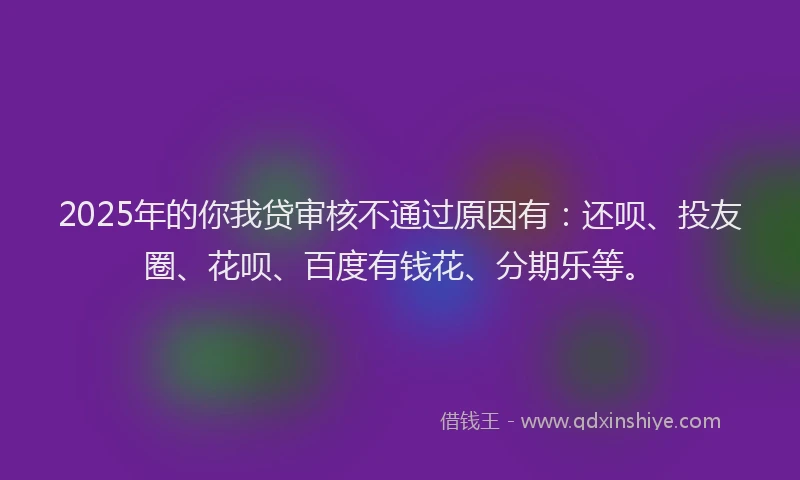 2025年的你我贷审核不通过原因有：还呗、投友圈、花呗、百度有钱花、分期乐等。