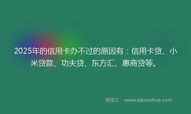 2025年的信用卡办不过的原因有：信用卡贷、小米贷款、功夫贷、东方汇、惠商贷等。