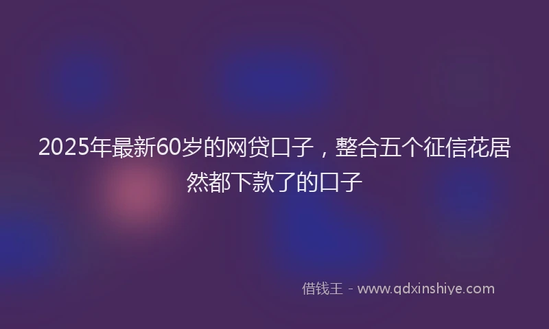 2025年最新60岁的网贷口子，整合五个征信花居然都下款了的口子