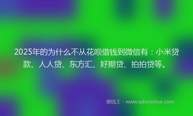 2025年的为什么不从花呗借钱到微信有：小米贷款、人人贷、东方汇、好期贷、拍拍贷等。