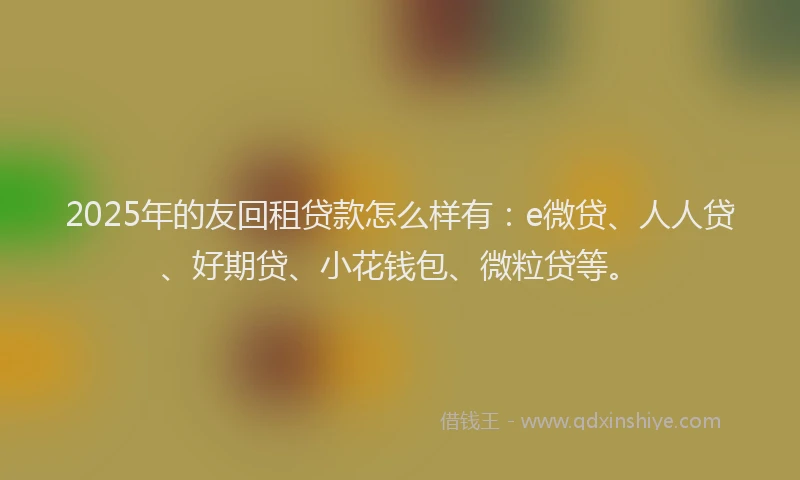 2025年的友回租贷款怎么样有：e微贷、人人贷、好期贷、小花钱包、微粒贷等。