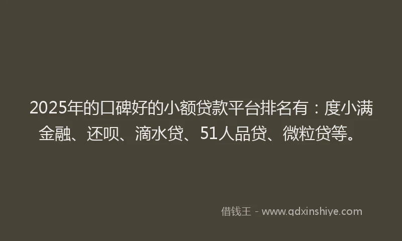 2025年的口碑好的小额贷款平台排名有：度小满金融、还呗、滴水贷、51人品贷、微粒贷等。