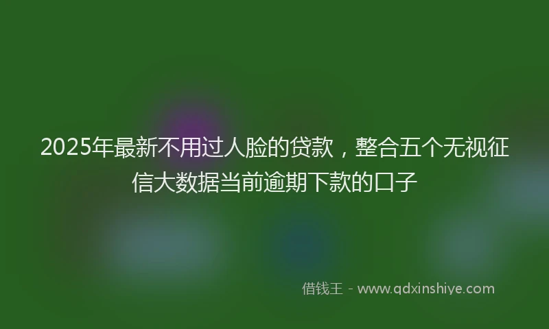 2025年最新不用过人脸的贷款，整合五个无视征信大数据当前逾期下款的口子