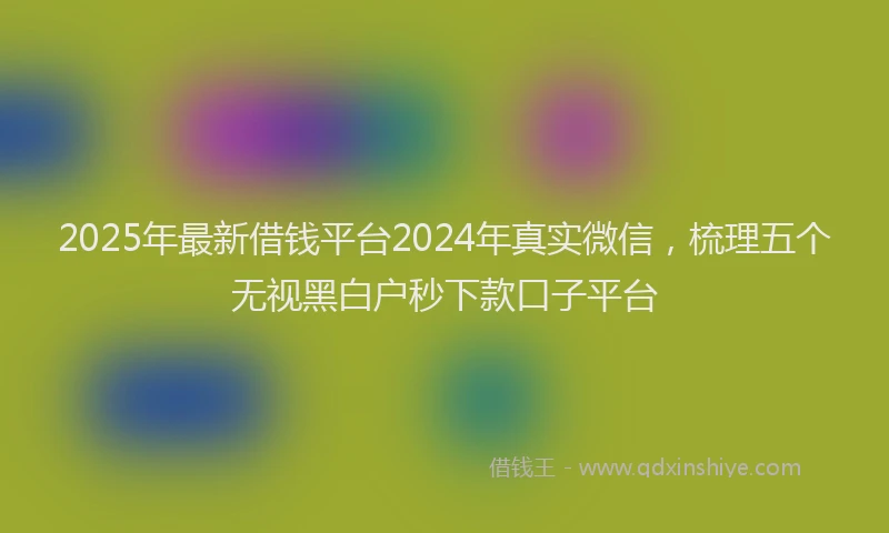 2025年最新借钱平台2024年真实微信，梳理五个无视黑白户秒下款口子平台