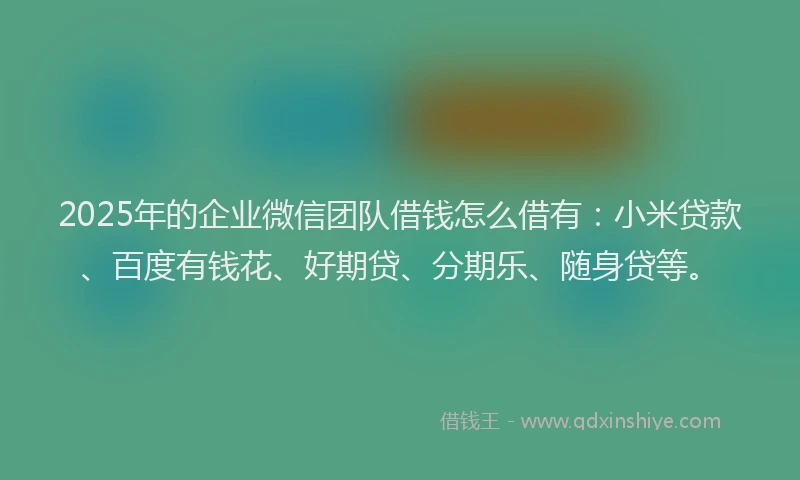 2025年的企业微信团队借钱怎么借有：小米贷款、百度有钱花、好期贷、分期乐、随身贷等。