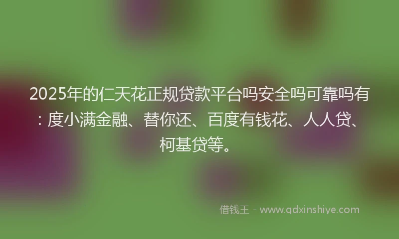 2025年的仁天花正规贷款平台吗安全吗可靠吗有：度小满金融、替你还、百度有钱花、人人贷、柯基贷等。