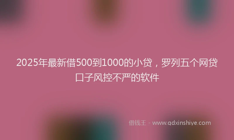 2025年最新借500到1000的小贷，罗列五个网贷口子风控不严的软件
