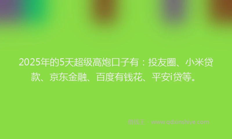 2025年的5天超级高炮口子有：投友圈、小米贷款、京东金融、百度有钱花、平安i贷等。