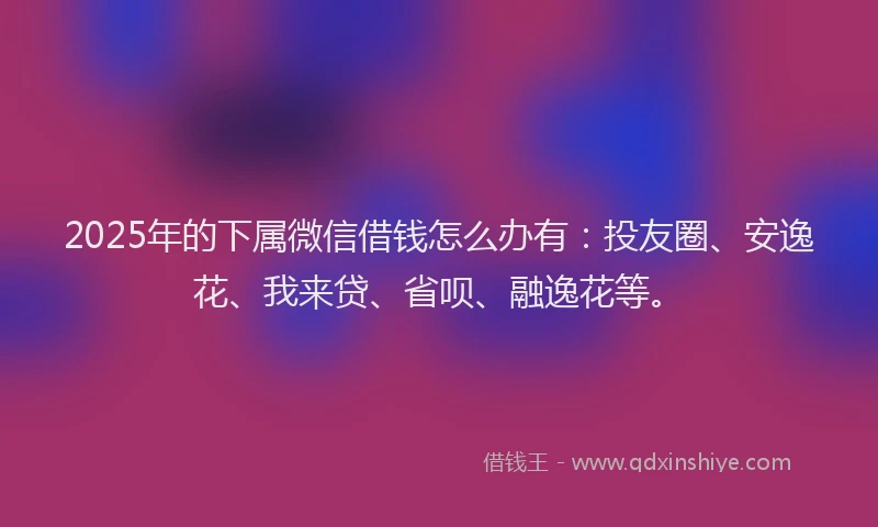 2025年的下属微信借钱怎么办有：投友圈、安逸花、我来贷、省呗、融逸花等。