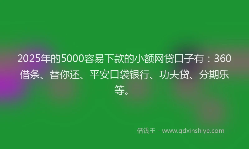 2025年的5000容易下款的小额网贷口子有：360借条、替你还、平安口袋银行、功夫贷、分期乐等。