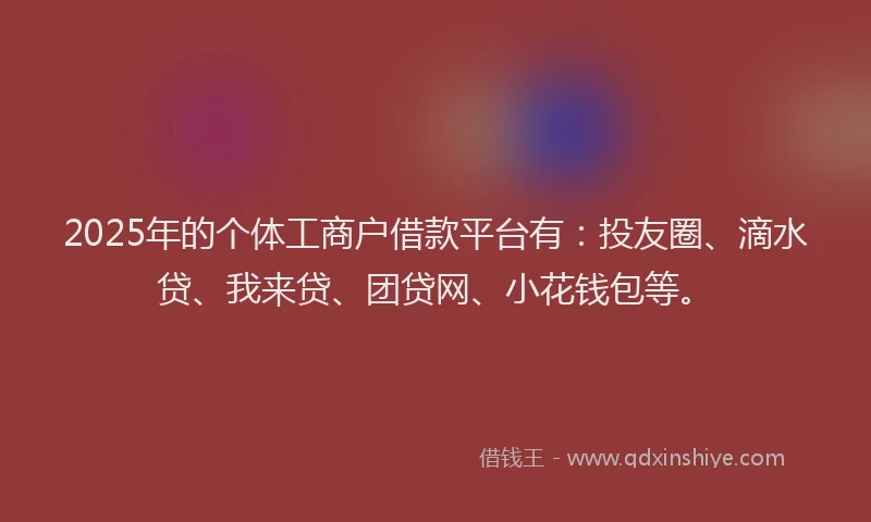 2025年的个体工商户借款平台有：投友圈、滴水贷、我来贷、团贷网、小花钱包等。