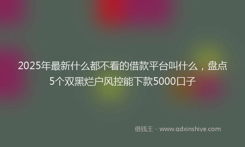 2025年最新什么都不看的借款平台叫什么，盘点5个双黑烂户风控能下款5000口子