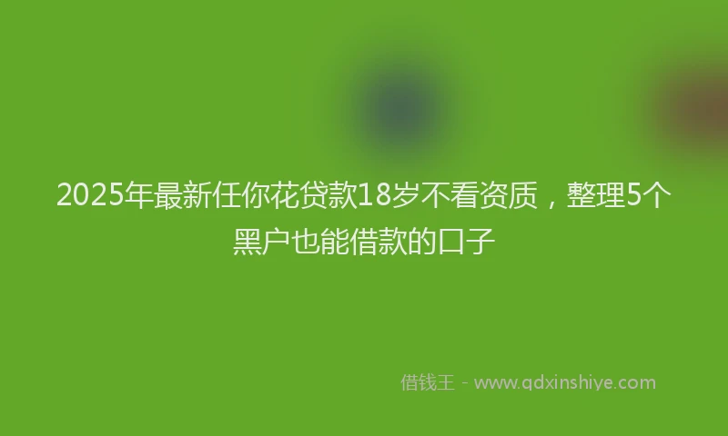 2025年最新任你花贷款18岁不看资质，整理5个黑户也能借款的口子