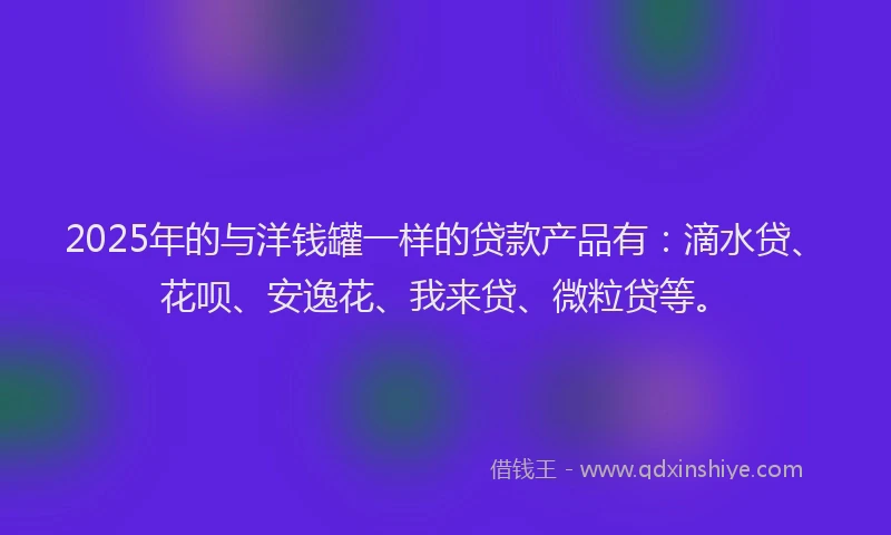 2025年的与洋钱罐一样的贷款产品有：滴水贷、花呗、安逸花、我来贷、微粒贷等。