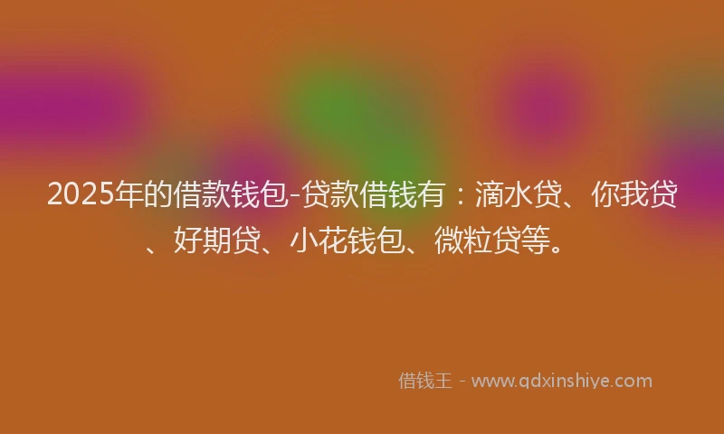 2025年的借款钱包-贷款借钱有：滴水贷、你我贷、好期贷、小花钱包、微粒贷等。