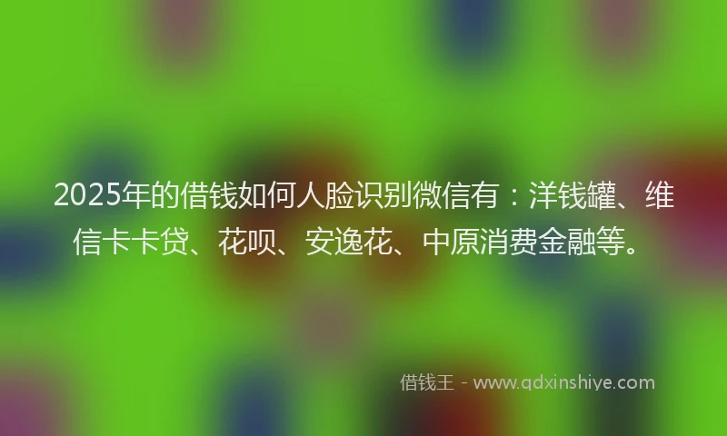 2025年的借钱如何人脸识别微信有：洋钱罐、维信卡卡贷、花呗、安逸花、中原消费金融等。