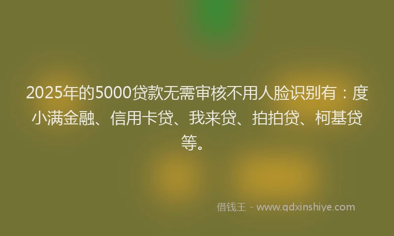 2025年的5000贷款无需审核不用人脸识别有:度小满金融、信用卡贷、我来贷、拍拍贷、柯基贷等。